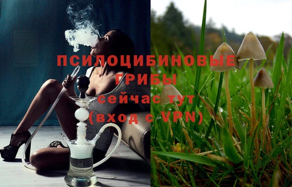 молекула духа Арсеньев