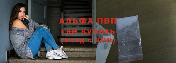молекула духа Арсеньев
