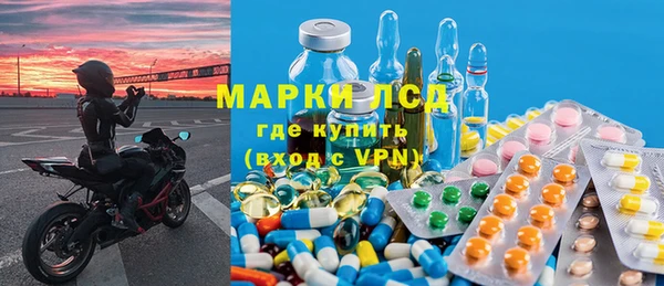 молекула духа Арсеньев