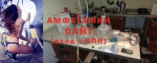 молекула духа Арсеньев