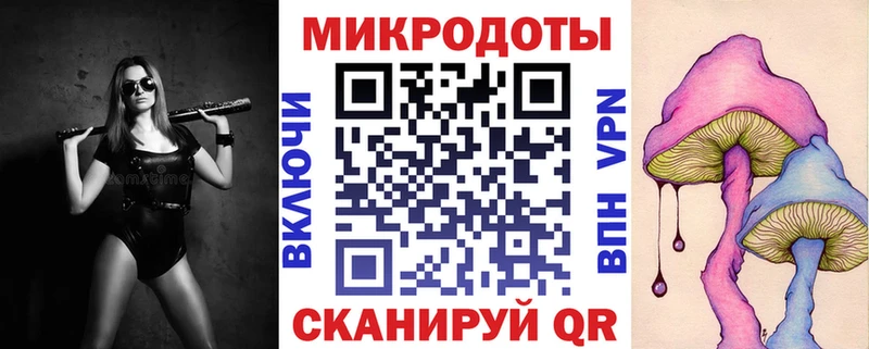 купить   Терек  Галлюциногенные грибы GOLDEN TEACHER 